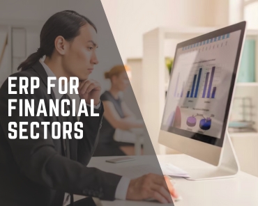 ERP For Finance