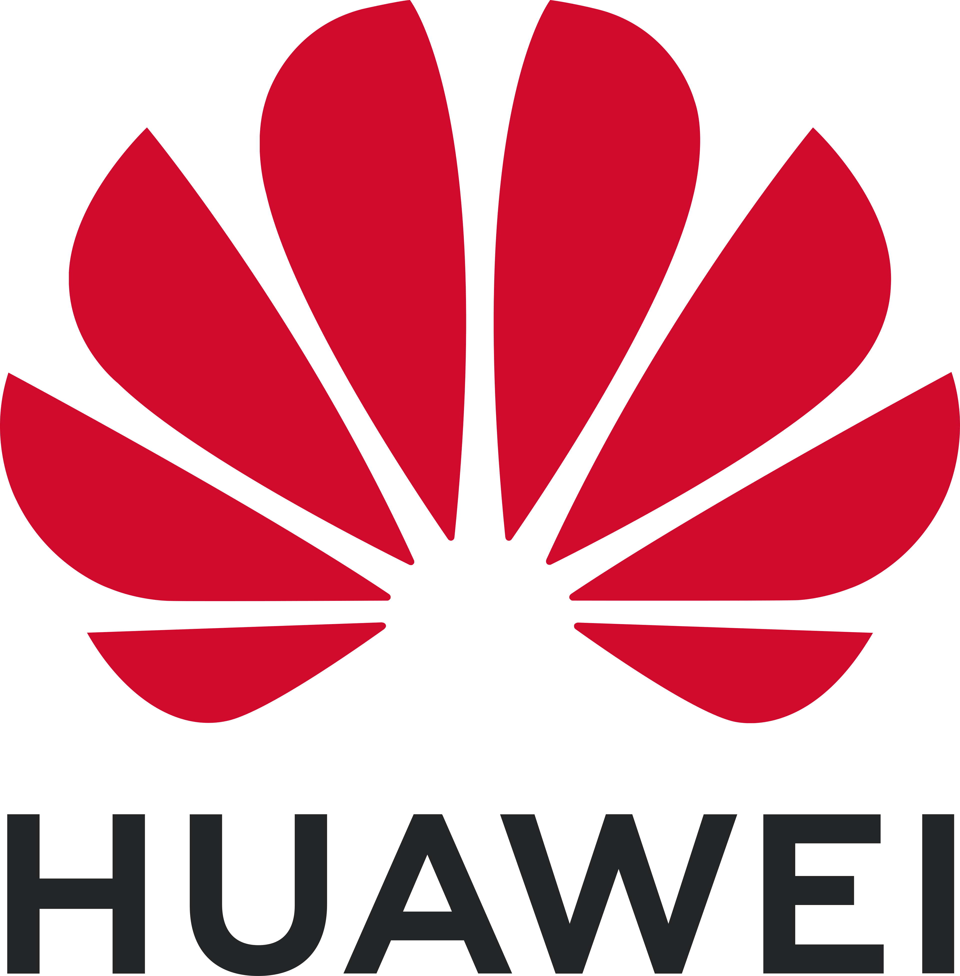 Huawei Partner logo